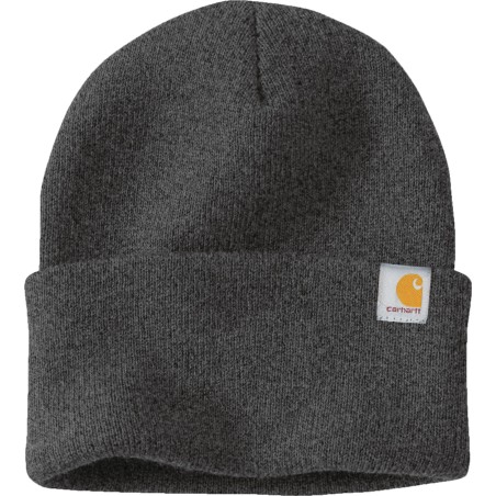 Special price Carhartt Watch Cap 2.0 Limited Stock